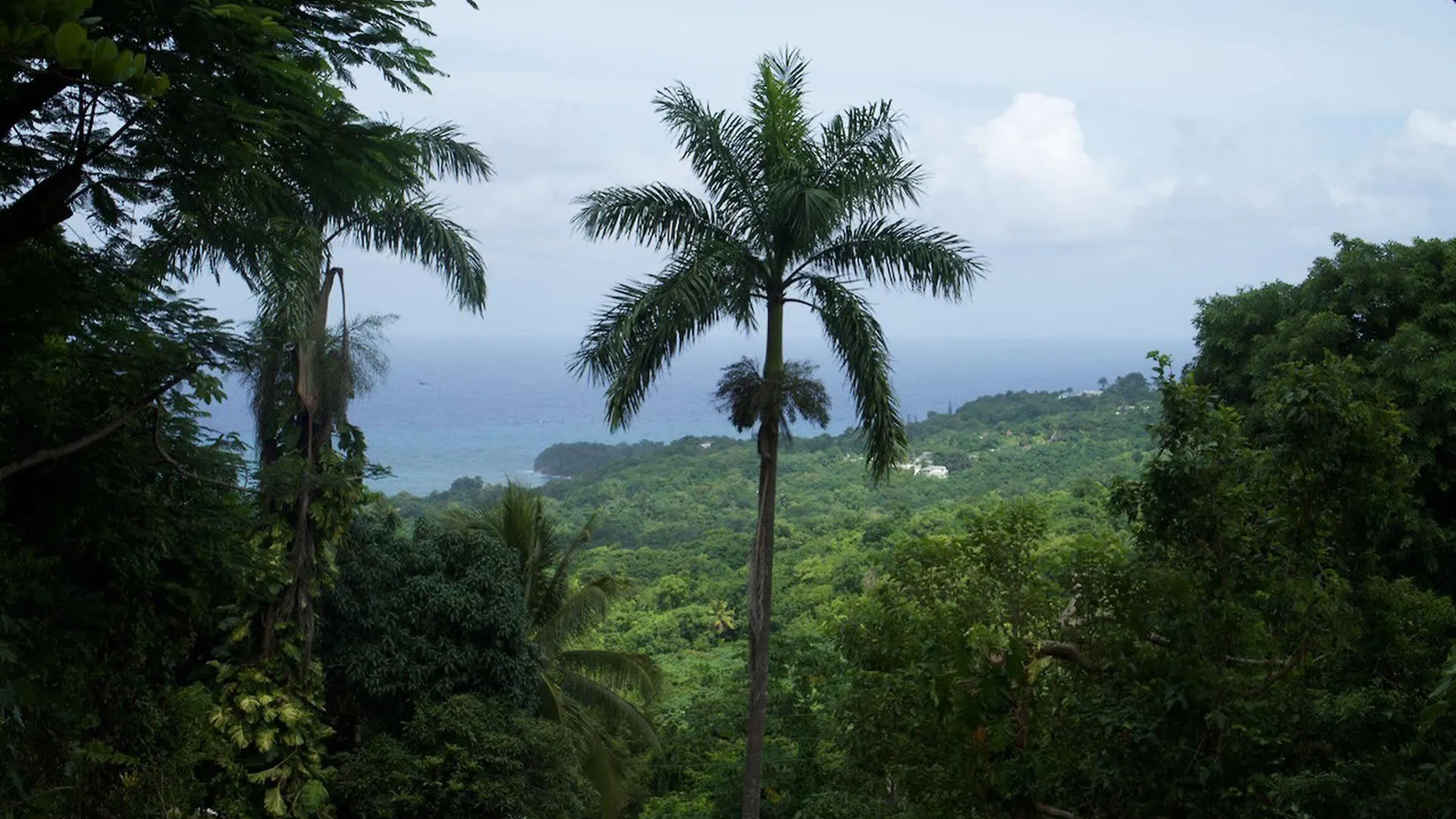 Panorama Villa Drapers 0*,  Jamaica